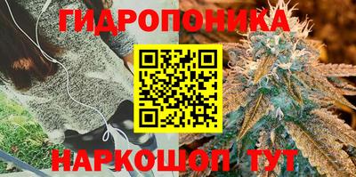 дурь Владикавказ