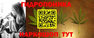 сатива Владивосток