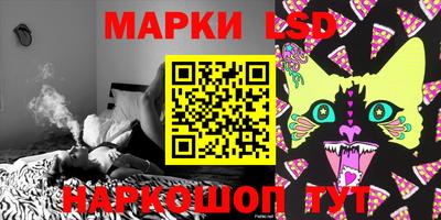 винт Владимир
