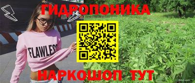 винт Владимир