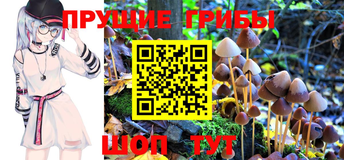 Великие Луки  Псилоцибиновые грибы Psilocybe  Псилоцибиновые грибы Psilocybe  Вход с VPN 
