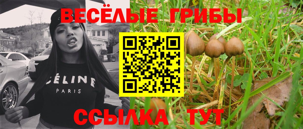Псилоцибиновые грибы GOLDEN TEACHER Великие Луки